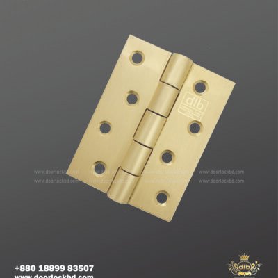 DLB Stainless Steel Hinge 4 inch